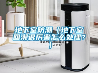 企業(yè)新聞地下室防潮（地下室回潮很厲害怎么處理？）