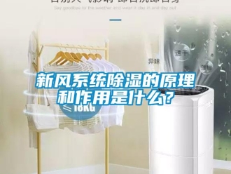 行業新聞新風系統除濕的原理和作用是什么？