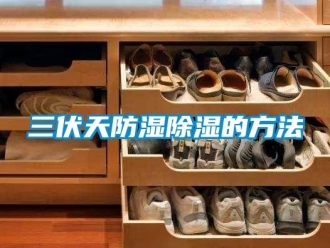 企業新聞三伏天防濕除濕的方法