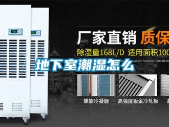 企業新聞地下室潮濕怎么