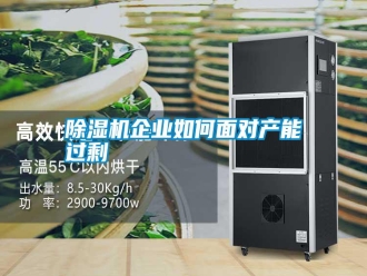 行業新聞除濕機企業如何面對產能過剩