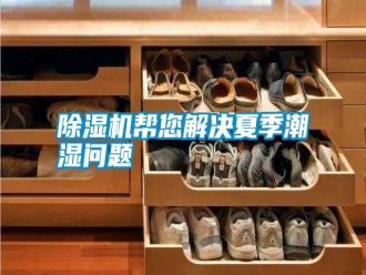 行業新聞除濕機幫您解決夏季潮濕問題