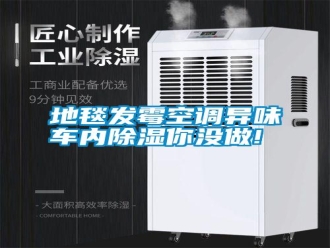 常見問題地毯發霉空調異味車內除濕你沒做!