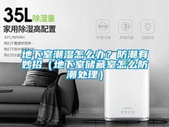 企業新聞地下室潮濕怎么辦？防潮有妙招（地下室儲藏室怎么防潮處理）