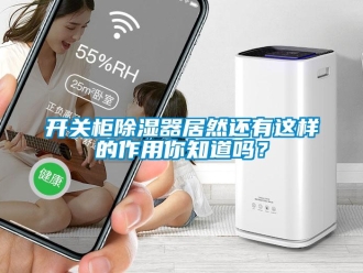 行業(yè)新聞開關(guān)柜除濕器居然還有這樣的作用你知道嗎？