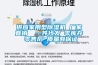 供應(yīng)家用型除濕機(jī) 廠家直銷  一件代發(fā) 零庫存 零售后 質(zhì)量有保證