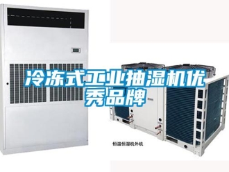企業新聞冷凍式工業抽濕機優秀品牌