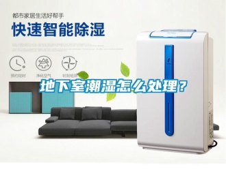 企業(yè)新聞地下室潮濕怎么處理？