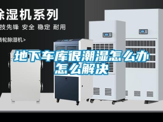 企業新聞地下車庫很潮濕怎么辦怎么解決