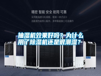 知識百科抽濕機效果好嗎？為什么用了除濕機還是很潮濕？
