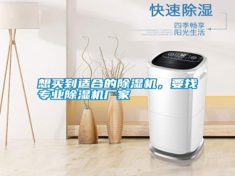 知識百科想買到適合的除濕機，要找專業除濕機廠家