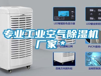 企業新聞專業工業空氣除濕機廠家＊