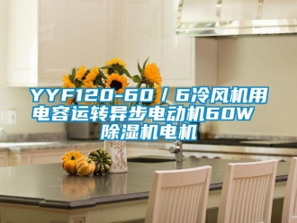 企業新聞YYF120-60／6冷風機用電容運轉異步電動機60W 除濕機電機