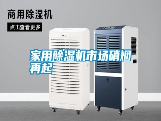 知識(shí)百科家用除濕機(jī)市場(chǎng)硝煙再起