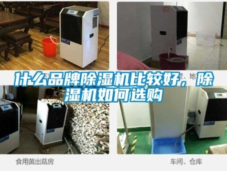 企業(yè)新聞什么品牌除濕機比較好，除濕機如何選購