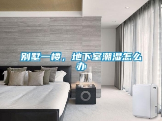 企業(yè)新聞別墅一樓，地下室潮濕怎么辦