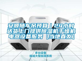 企業新聞安順隨車吊預算｜24小時送貨上門提供除濕機干燥機電器設備服務【當地直發】