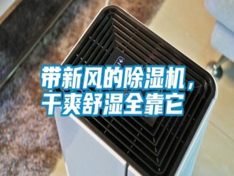 常見問題帶新風(fēng)的除濕機(jī)，干爽舒濕全靠它