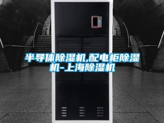 企業(yè)新聞半導(dǎo)體除濕機(jī),配電柜除濕機(jī)-上海除濕機(jī)