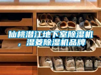 企業(yè)新聞仙桃潛江地下室除濕機，濕菱除濕機品牌