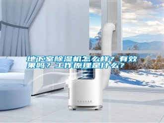 行業(yè)新聞地下室除濕機(jī)怎么樣？有效果嗎？工作原理是什么？