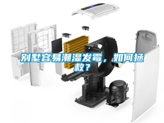 企業新聞別墅容易潮濕發霉，如何拯救？