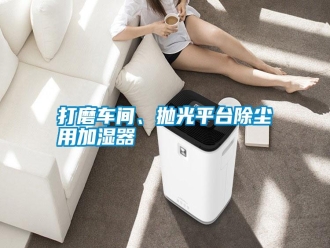 知識百科打磨車間、拋光平臺除塵用加濕器