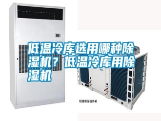 行業新聞低溫冷庫選用哪種除濕機？低溫冷庫用除濕機