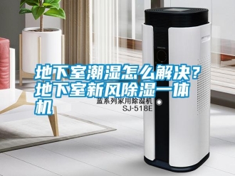 行業(yè)新聞地下室潮濕怎么解決？地下室新風(fēng)除濕一體機(jī)