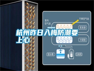 知識(shí)百科杭州昨日入梅防潮要上心