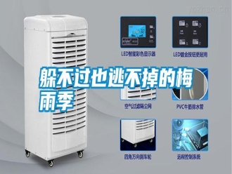 常見問題躲不過也逃不掉的梅雨季