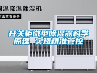 行業新聞開關柜微型除濕器科學原理 實現精準管控