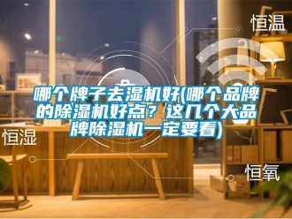 企業(yè)新聞哪個牌子去濕機(jī)好(哪個品牌的除濕機(jī)好點？這幾個大品牌除濕機(jī)一定要看)