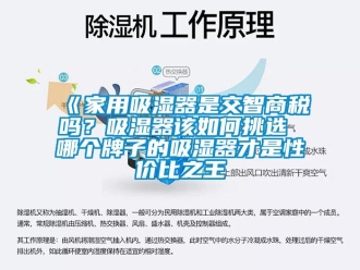 企業新聞《家用吸濕器是交智商稅嗎？吸濕器該如何挑選 哪個牌子的吸濕器才是性價比之王