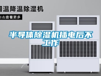 企業(yè)新聞半導(dǎo)體除濕機(jī)插電后不工作