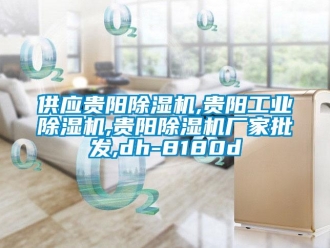 企業新聞供應貴陽除濕機,貴陽工業除濕機,貴陽除濕機廠家批發,dh-8180d