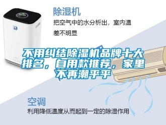 企業新聞不用糾結除濕機品牌十大排名，自用款推薦，家里不再潮乎乎