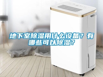 企業(yè)新聞地下室除濕用什么設(shè)備？有哪些可以除濕？