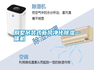 行業新聞別墅吊裝式新風凈化除濕一體機