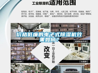 企業(yè)新聞價格低廉的電子式除濕機效果如何？