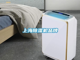 企業新聞上海除濕機品牌