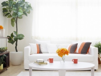 常見問題水果保鮮的秘密武器，水果冷庫加濕器