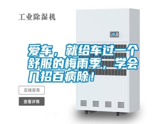 常見問題愛車，就給車過一個(gè)舒服的梅雨季，學(xué)會(huì)幾招百病除！