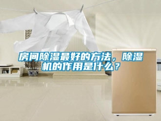 行業(yè)新聞房間除濕最好的方法，除濕機的作用是什么？