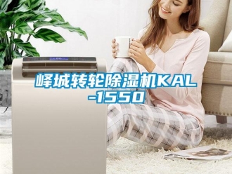 常見問題嶧城轉(zhuǎn)輪除濕機(jī)KAL-1550