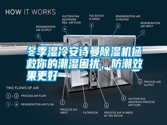 行業新聞冬季濕冷安詩曼除濕機拯救你的潮濕困擾，防潮效果更好