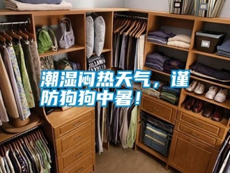 知識百科潮濕悶熱天氣，謹防狗狗中暑！