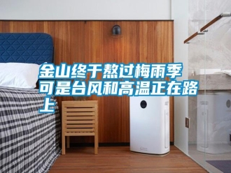 常見問題金山終于熬過梅雨季 可是臺風和高溫正在路上