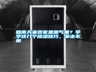 企業新聞回南天來襲家里潮氣重？學學這幾個除濕技巧，拿走不謝