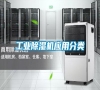 工業除濕機應用分類